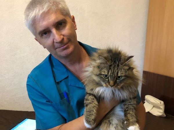 Как справиться с сухим воздухом зимой?